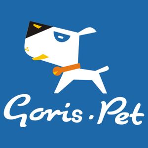 Company icon
