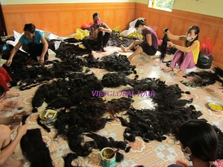 VIETGLOBAL TRADE CO., LTD Virgin Hair