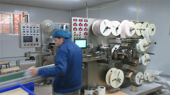 Anhui Province Dejitang Pharmaceutical Co., Ltd. Capsicum Plaster