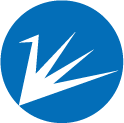 Company icon