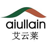 Company icon