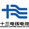 Company icon
