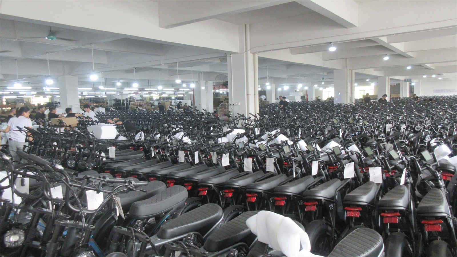 Huizhou Huasheng Vehicle Industry Co., Ltd. Electric Bike