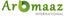 Company icon