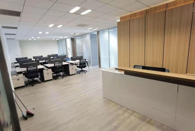 Shenzhen Daydream Technology Co., Ltd. Wig Accessories