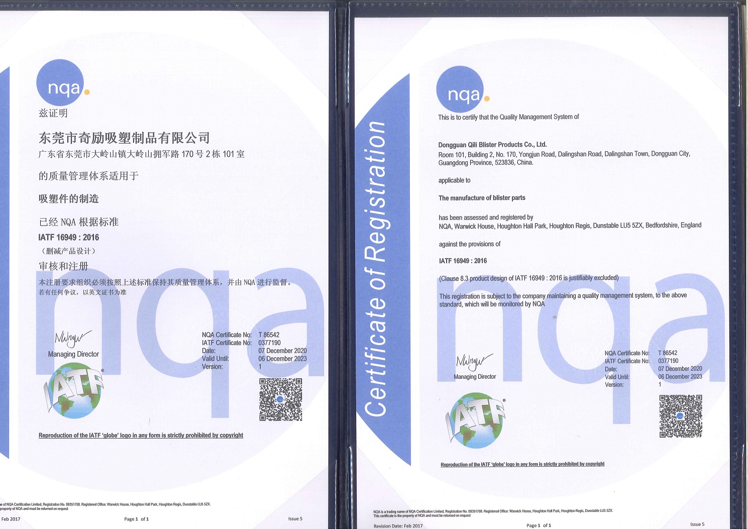 Dongguan Qili Plastic Products Co., Ltd. Blister Products