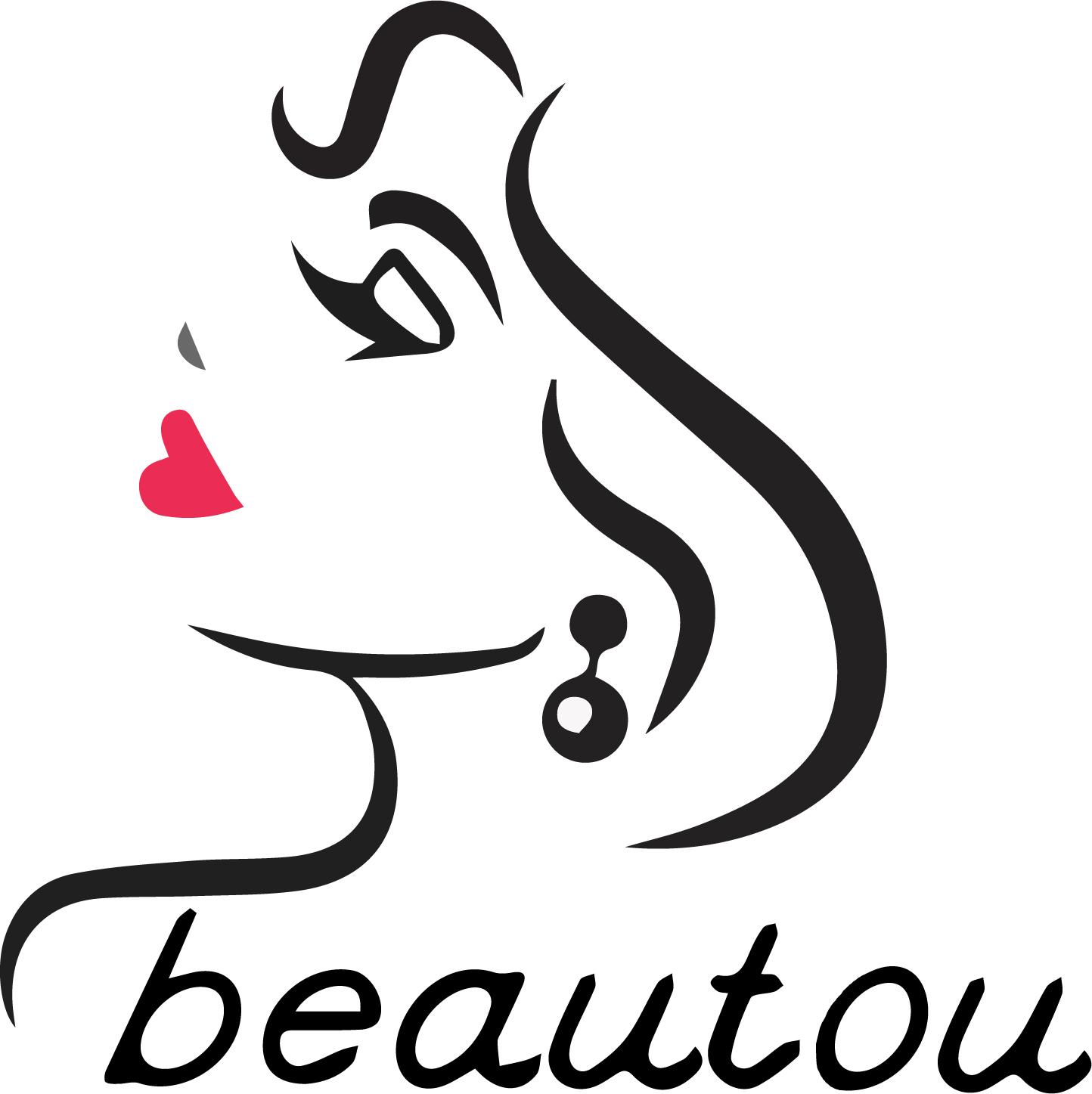Shenzhen Beautou Technology Development Co., Ltd. logo