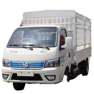 Dongfeng Brand New Model 4x2 Electric Cargo Truck  Single Row Mini Truck New-energy vehicles