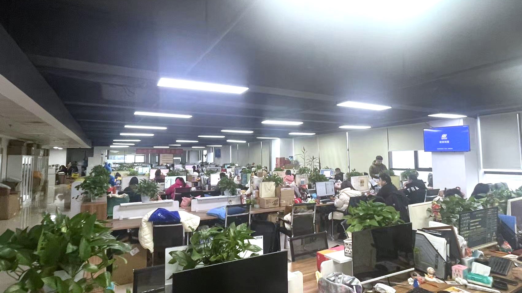 Hunan Kinqee International Trade Co., Ltd. Plush Toy