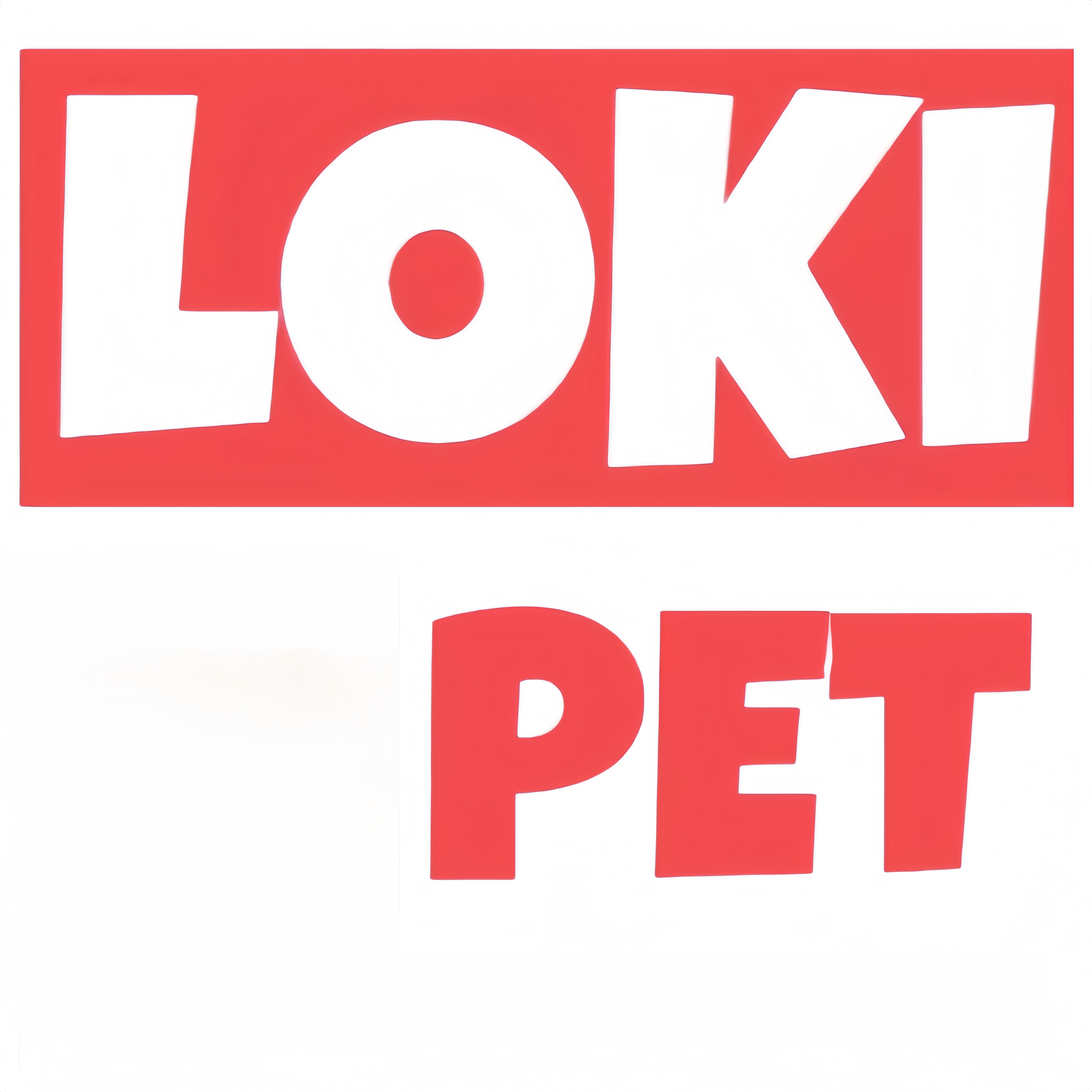 Loki Technology Co., Ltd. logo