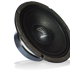 450w10 Oversound Woofer Professional Speaker