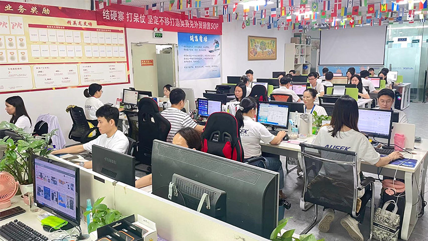 Shenzhen Ausek Technology Co., Ltd. factory image 5