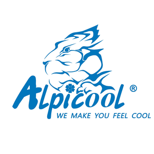 Company icon