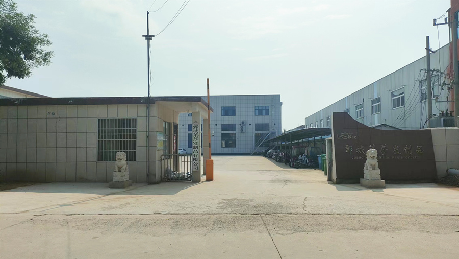 Juancheng LeShine Hair Products Co., Ltd. Genius Weft