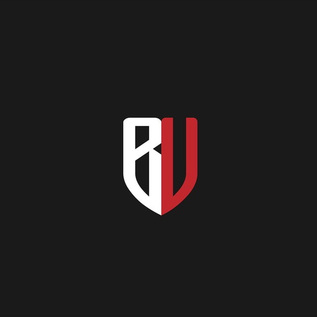 Brothers Venture Private Limited logo