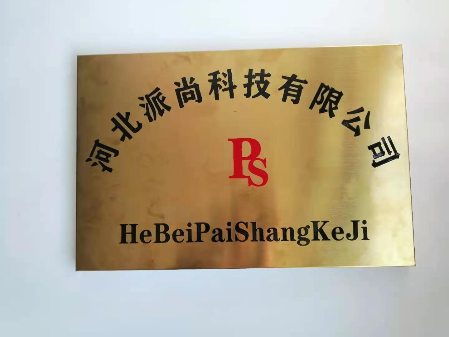 Hebei Paishang Technology Co., Ltd. logo