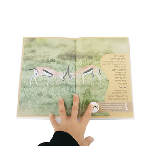 High Quality Custom Softcover Photography/Art/Food Book Printing Magazine Soft Cover Book Supplier bath book waterproof book