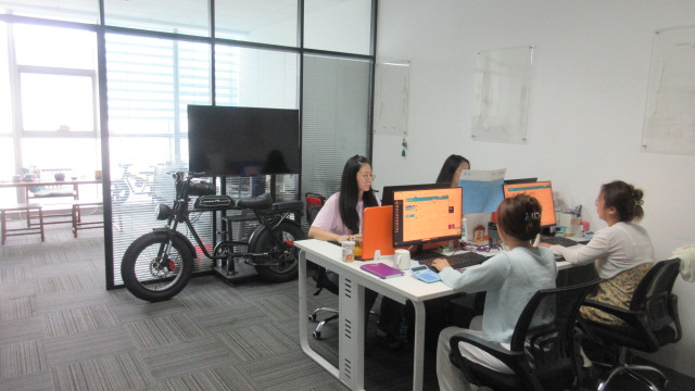 Yantai Feiwo International Trading Co., Ltd. Electric Bicycle