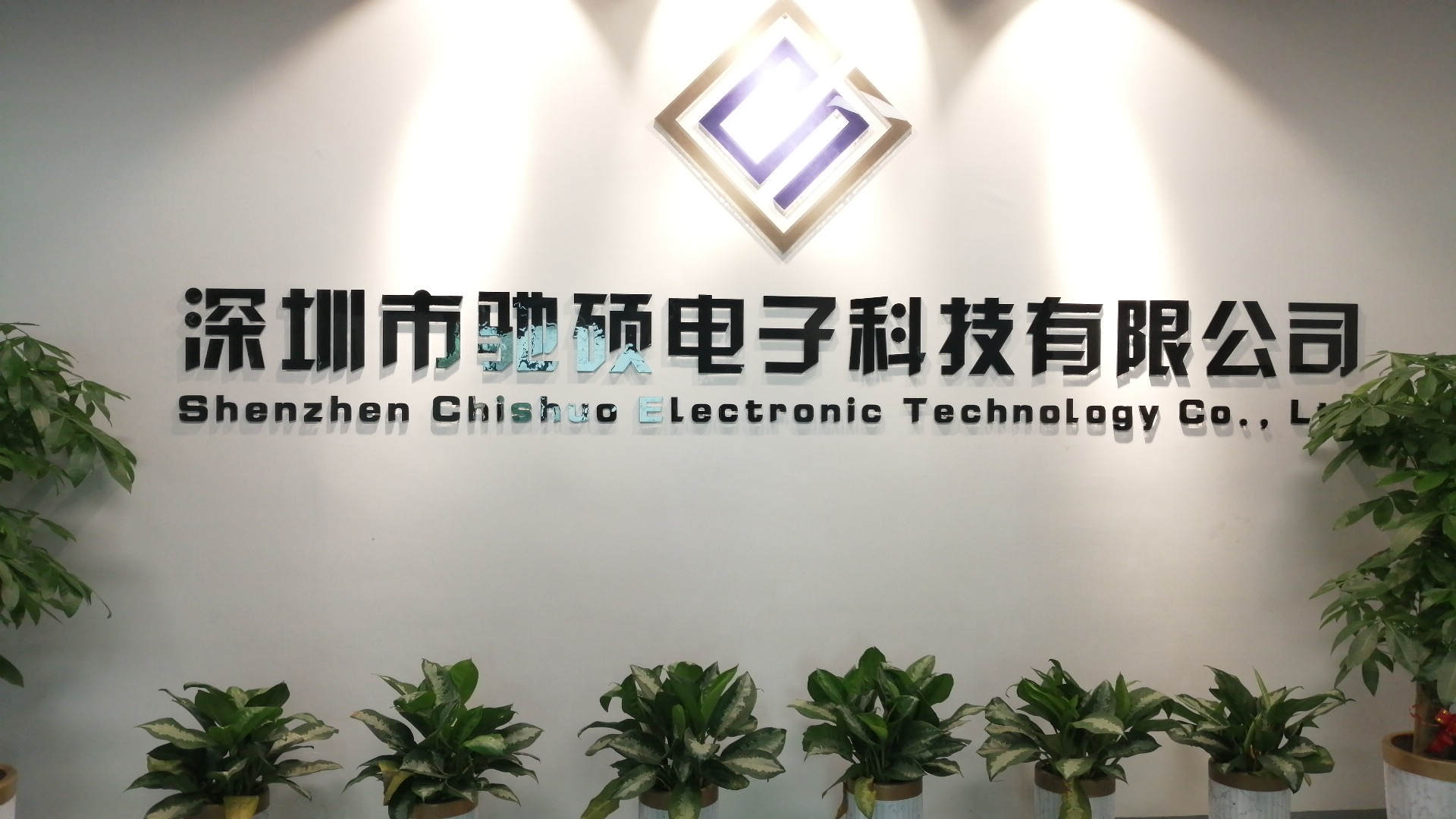 Shenzhen Chishuo Electronic Technology Co., Ltd. COB LED Strip