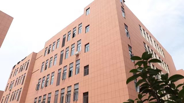 Hefei Longmao Electronic Commerce Co., Ltd. Sewing Tools