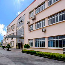 Shijiazhuang Dadao Packaging Materials Co., Ltd. Metallized Film