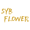 Qingdao Shengyabo International Trade Co., Ltd. logo