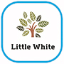 Guangzhou Little White Printing & Packaging Co., Ltd. logo