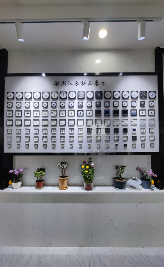 Wei Dian Union (hubei) Technology Co., Ltd. Ammeters