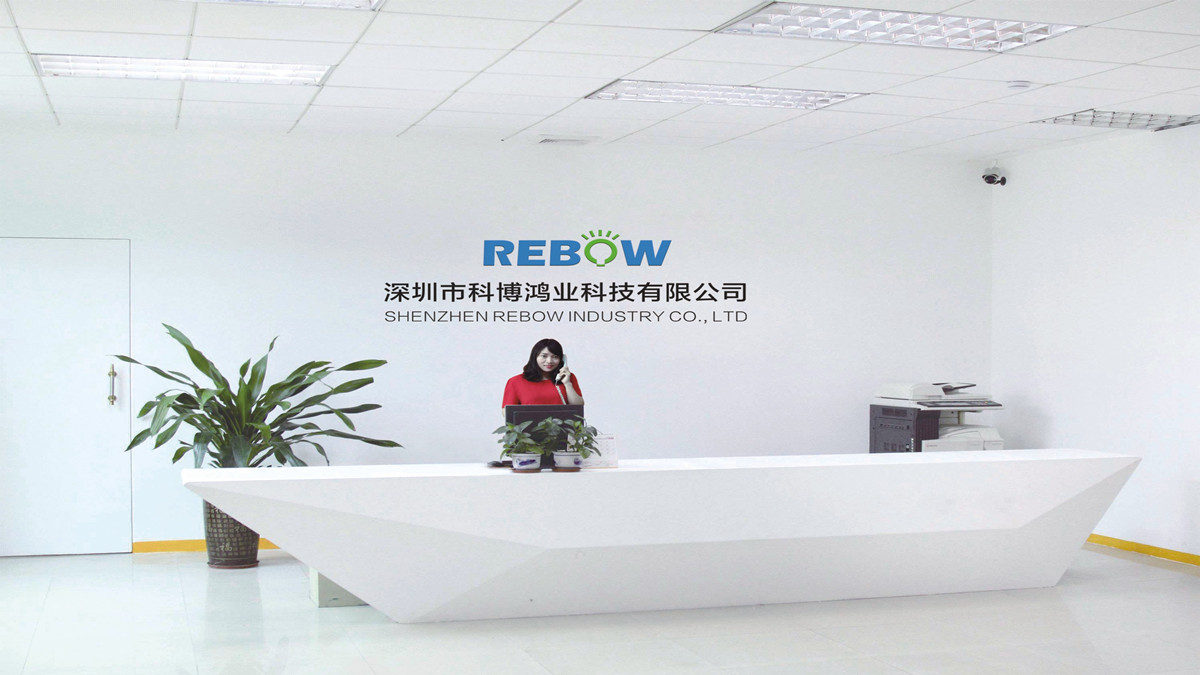 Shenzhen Rebow Technology Co., Ltd. LED Neon Signs