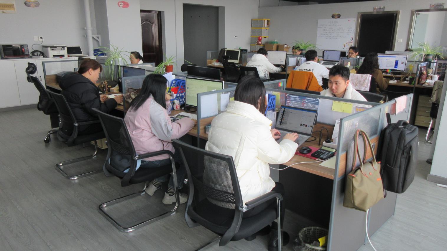 Wuxi Lejin Electronic & Electrical Co., Ltd. LED Rope Light