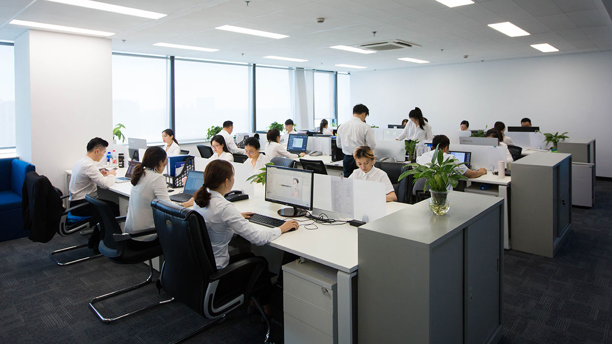 Shanghai Ruizhi Biological Technology Company Limited Cross-linked Hyaluronic Acid