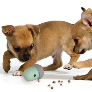 Pet Supplies  Cat Toy Ball Cat Teaser Ball Training Self-moving Toy Cat Playing Indoor Pet Toys