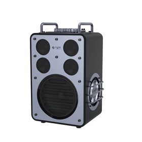 Rangers D8 Party Speaker Karaoke speaker