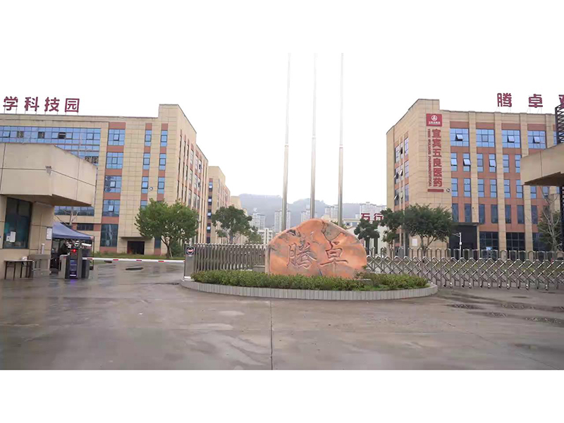 Tenzon Intelligent Technology Limited factory image 1