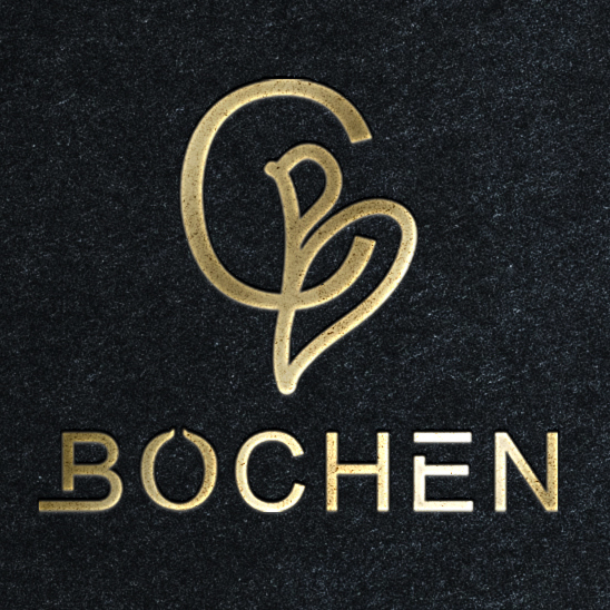 Zhuhai Bochen Co., Ltd. logo