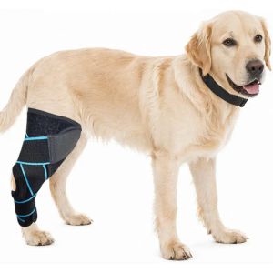 Dog Knee Support 3D Joint Acl Brace Pet For Dogs Sleeve Neoprene Open Petella With Collar Hinged Protector Hind Leg 3 Pcts