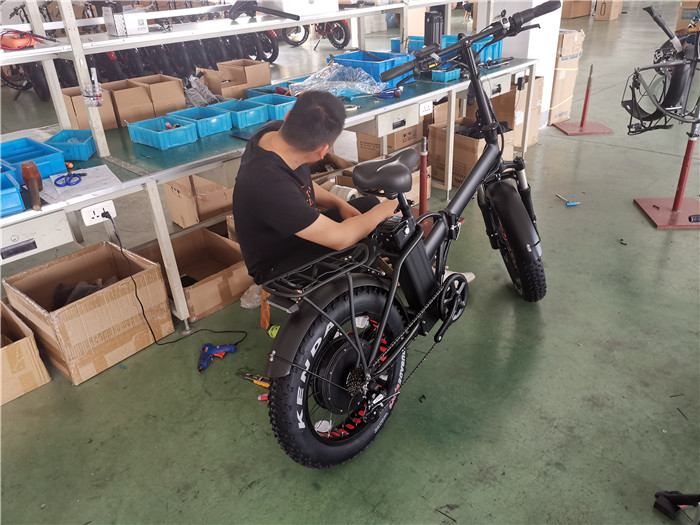 Changzhou Domain Electric Bicycle Co., Ltd. Electric bicycle