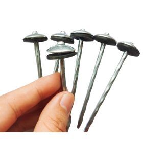 China 2.5'' Twisted Shank Umbrella Roofing Nails zinc plated