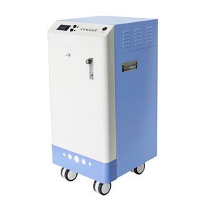 28g AQUAPURE oxygen PSA included Industrial ozone generator for swimming pool