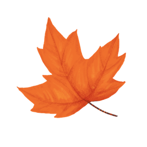 Company icon