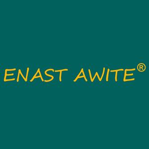 Company icon