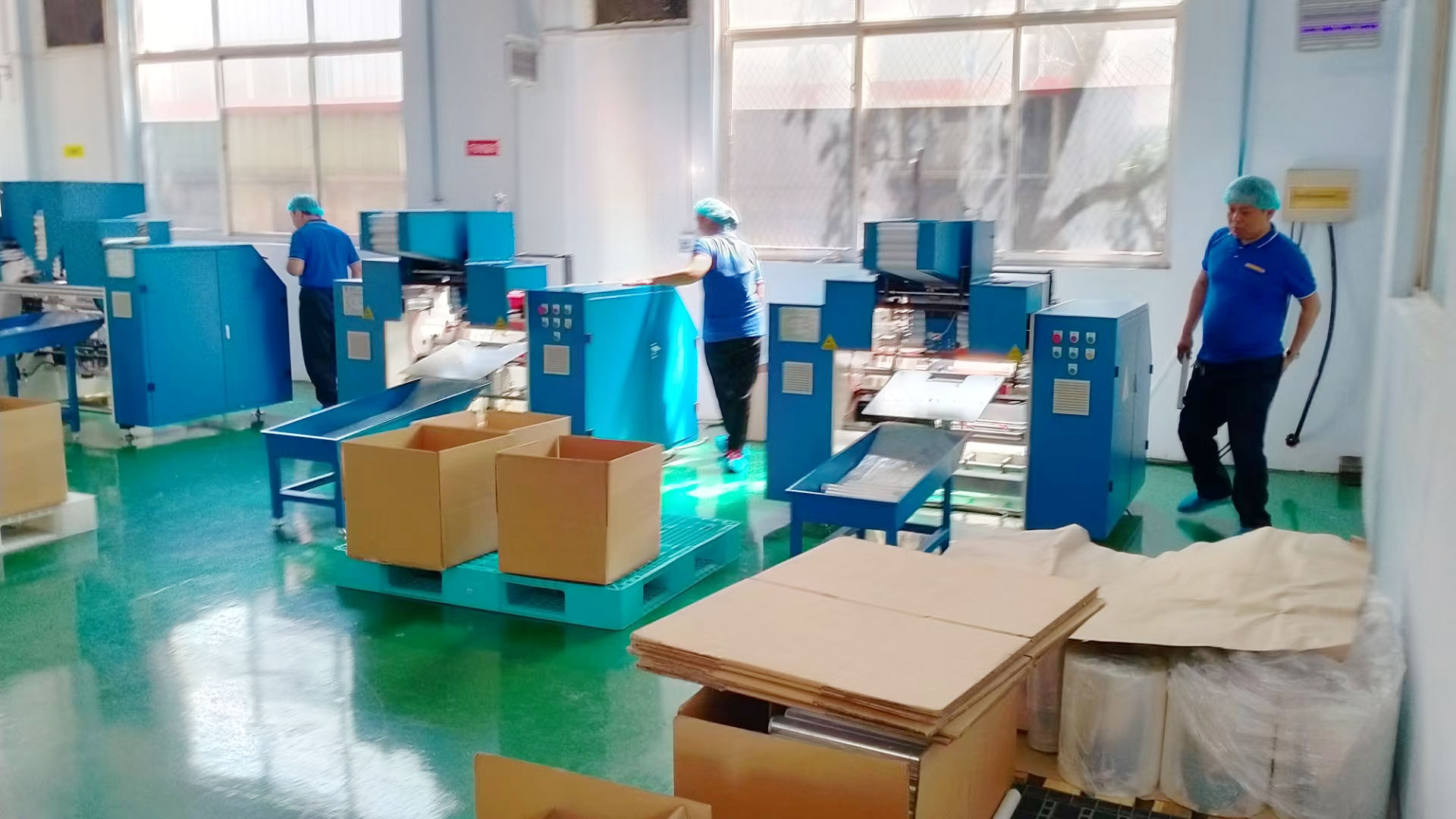 Shandong Runyang Supply Chain Management Co., Ltd. pet toys