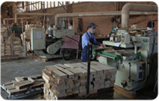 Jinjiang Jiaxing Import & Export Trade Co., Ltd. gift products