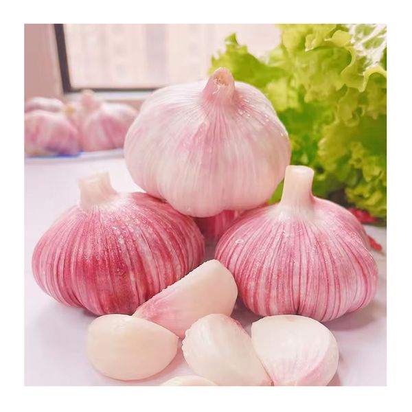 hot sale Chinese white garlic wholesale with GLOBAL GAP&ISO9001 good price 2024 new organic normal white garlic export