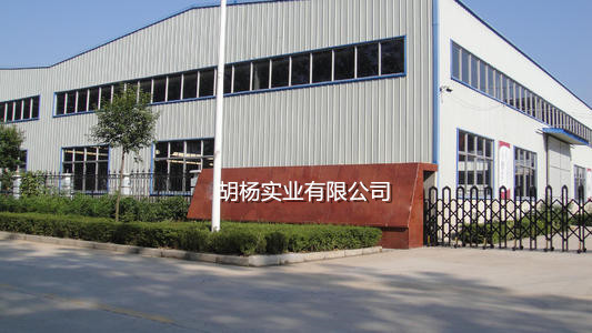 Xuchang Huyang Century Trading Co., Ltd. Human Hair Wigs