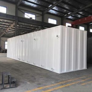 Customized Municipal Sewage Industrial MBR MBBR Biological System Plant Integrated Wastewater Sewage Treatment Equipment