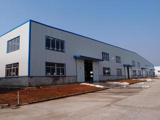 Anhui Longshun Traffic Equipment Co., Ltd Power Wheelchair