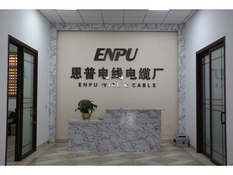 Guangzhou Enpu Communication Technology Co.,Ltd LAN Cable