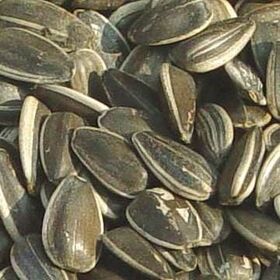 Animal Feed seeds for birds