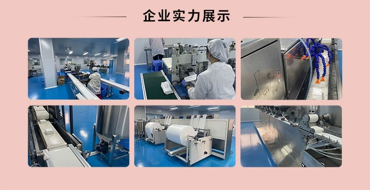Royal Champion Commodity Co., Ltd. factory image 2